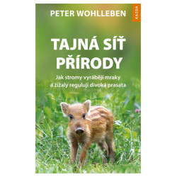 Tajná síť přírody - Jak stromy vyrábějí mraky a žížaly regulují divoká prasata