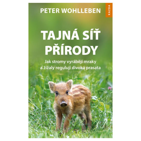 Tajná síť přírody - Jak stromy vyrábějí mraky a žížaly regulují divoká prasata