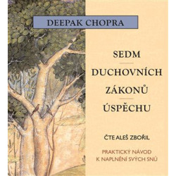 Sedm duchovních zákonů úspěchu (1xaudio na cd - mp3)