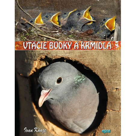 Vtáčie búdky a kŕmidlá