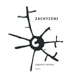 Zachyceni