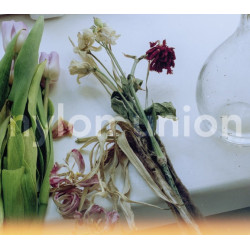 Nylon Union (CD)