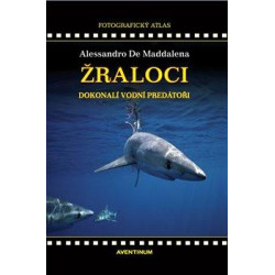 Žraloci, dokonalí vodní predátoři