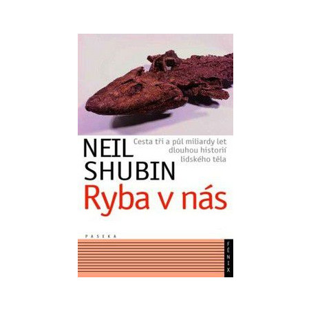 Ryba v nás