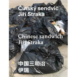 Čínský sendvič / Chinese sandwich