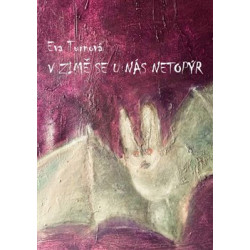 V zimě se u nás netopýr