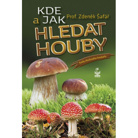 Kde a jak hledat houby - Rady zkušeného