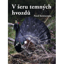 V šeru temných hvozdů