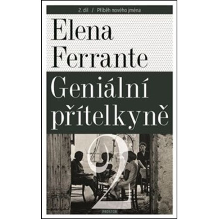 Geniální přítelkyně 2
