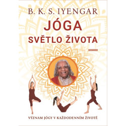 Jóga světlo života - Význam jógy v každo