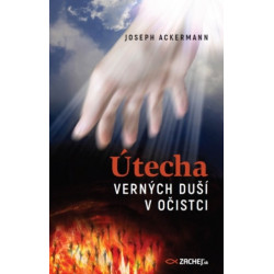 Útecha verných duší v očistci