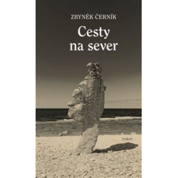 Cesty na sever