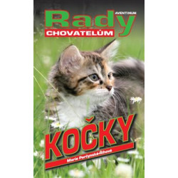 Kočky
