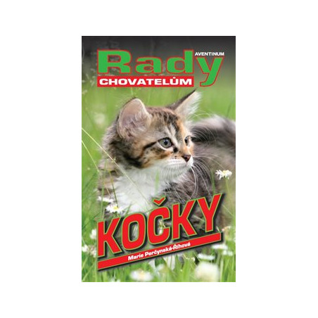 Kočky