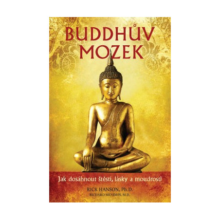 Buddhův mozek