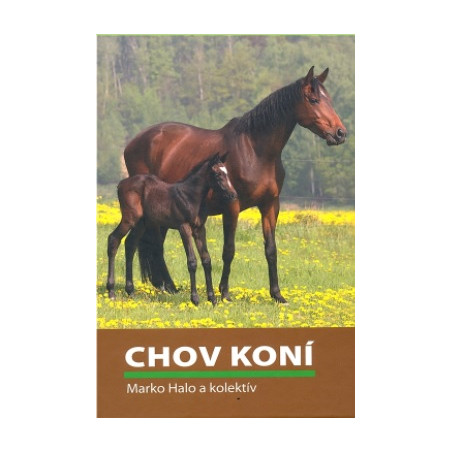 Chov koní