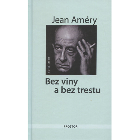 Bez viny a bez trestu