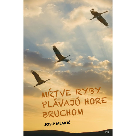 Mŕtve ryby plávajú hore bruchom