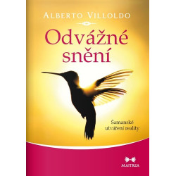 Odvážné snění