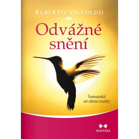 Odvážné snění
