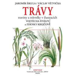 Trávy