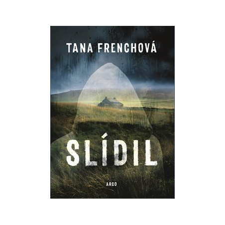 Slídil