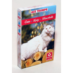 Kvarteto Mačky anglická verzia
