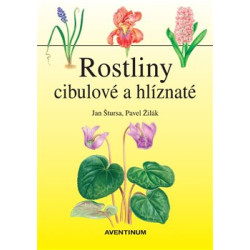 Rostliny cibulové a hlíznaté
