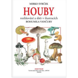 Houby