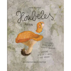 Houbeles pictus