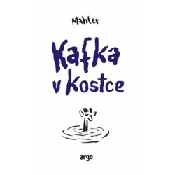 Kafka v kostce