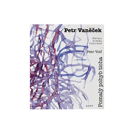 Petr Vaněček - Pomalý pohyb ticha