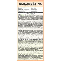 Nizozemština - souhrn gramatiky