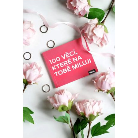 100 věcí, které na tobě miluji