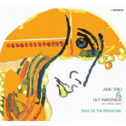 Amc Trio & Ulf Wakenius: Soul Of The Mountain