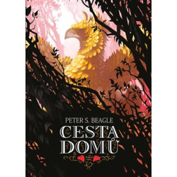 Cesta domů