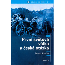 První světová válka a česká otázka