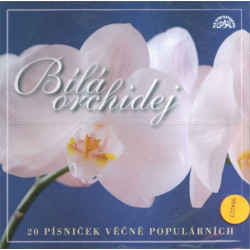 Bílá orchidej