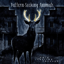 Pattern-Seeking Animals: Only Passing Through Lld.