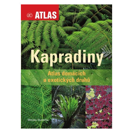 Kapradiny