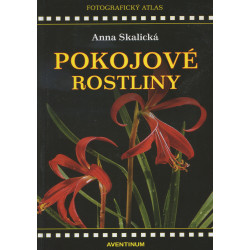 Pokojové rostliny