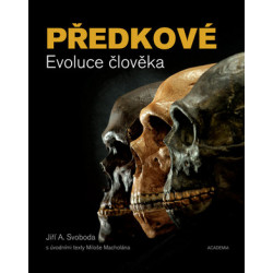 Předkové - Evoluce člověka