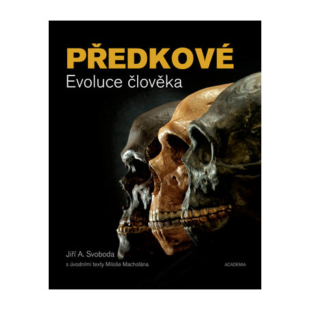 Předkové - Evoluce člověka