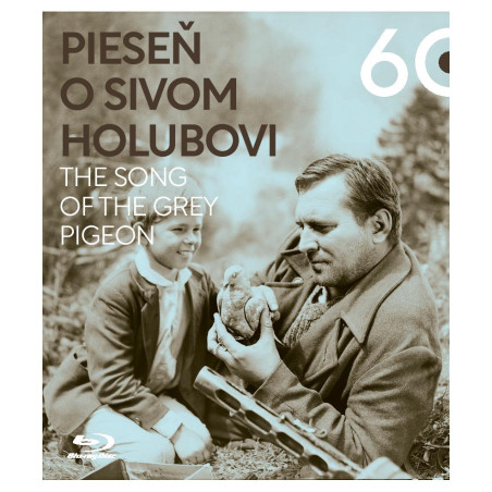 Pieseň o sivom holubovi