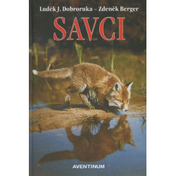 Savci