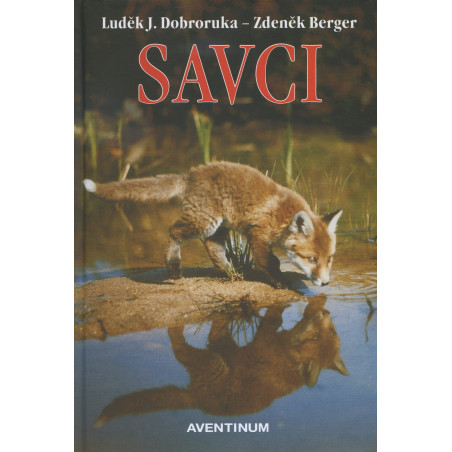 Savci