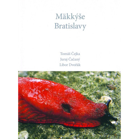 Mäkkýše Bratislavy