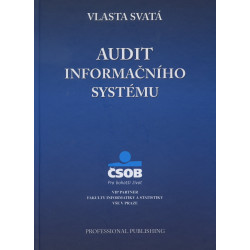 Audit informačního systému