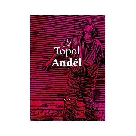 Anděl
