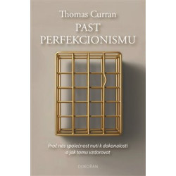 Past perfekcionismu